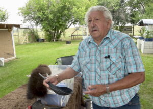 Buffalo Trunk.00_10_13_19.Still003