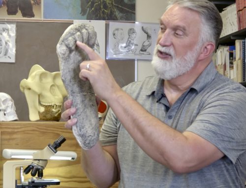 NMP mourns the passing of Jeff Meldrum